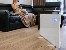 LAFE ThermoSmart 500 W electric radiator